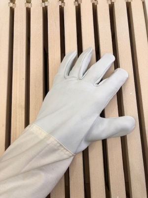 leather_bee_gloves_787141987
